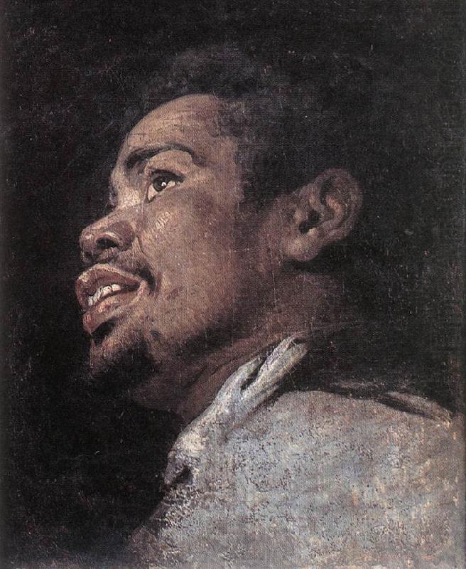 Head Study of a Young Moor dhyj, CRAYER, Gaspard de